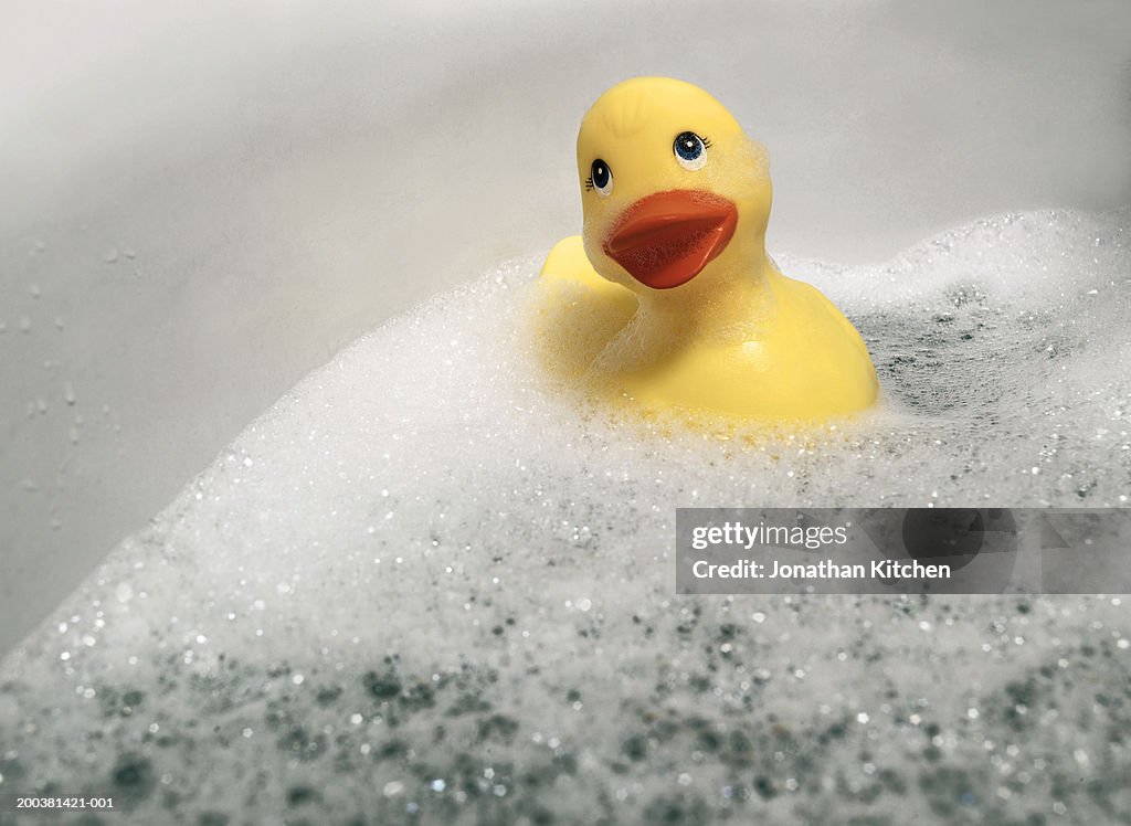 Rubber duck in bubble bath