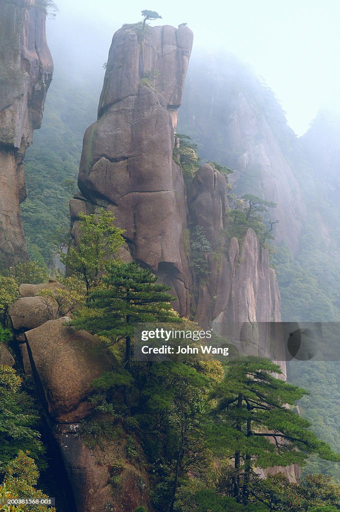 China, Jiangxi Province, San Qing Mountain, cliffs and trees in fog