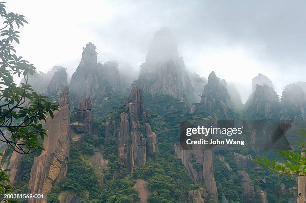 china, jiangxi province, san qing mountain, cliffs and trees in fog - province de jiangxi photos et images de collection