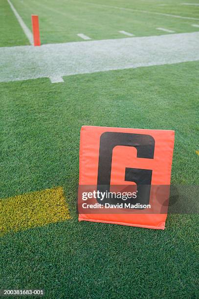 'g' sign at football goal line, elevated view - línea-de-gol fotografías e imágenes de stock