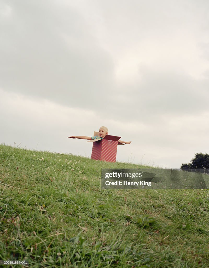 Boy (6-8) in cardboard box on hill, arms outstretched, low angle view