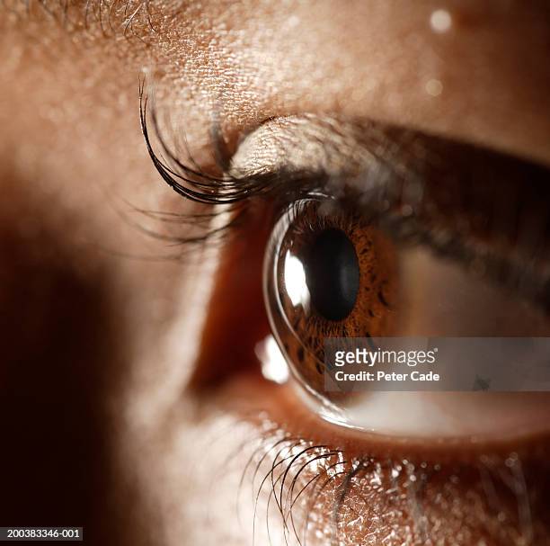 woman, close-up of eye - eyeshadow foto e immagini stock