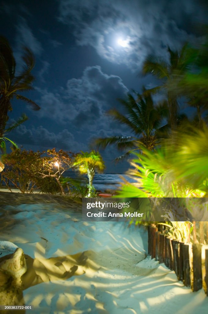 Moon and clouds over beach at night