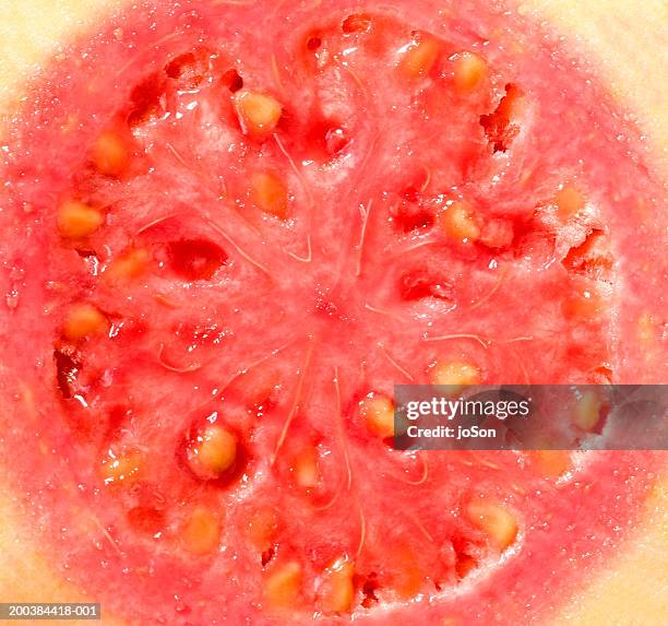 guava - guava fruit stock pictures, royalty-free photos & images