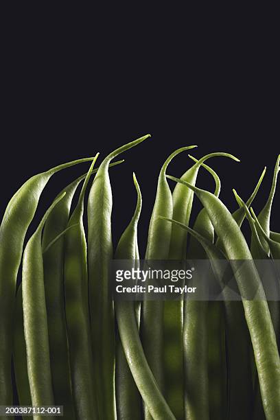green beans - haricot vert photos et images de collection