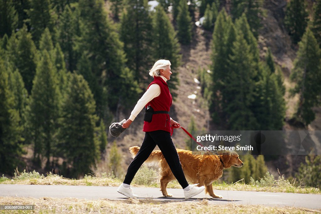 Mature woman walking golden retriever dog