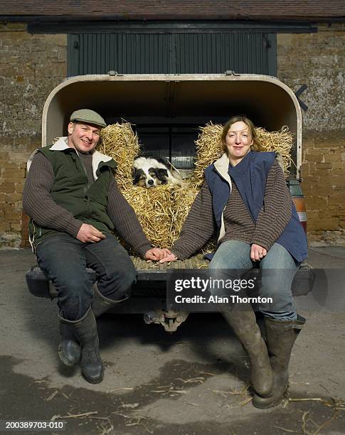 couple sitting on back of 4x4 with dog, holding hands, smiling - pick up truck back stock-fotos und bilder