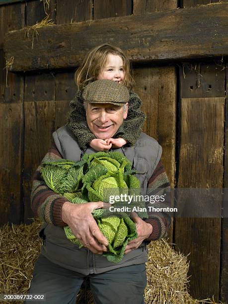 granddaughter (3-5) embracing grandfather holding cabbages, smiling - facial expression stock pictures, royalty-free photos & images