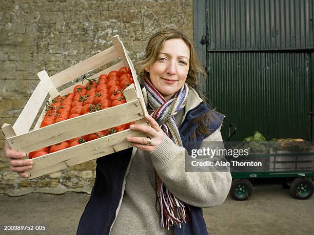 woman carrying crate of tomatoes on shoulder in farmyard, portrait - mature adult foto e immagini stock