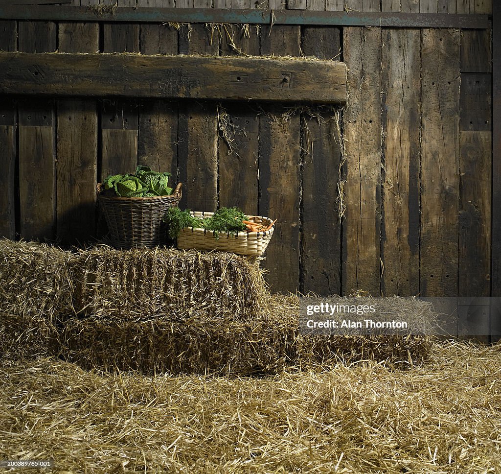 Baskets of cabbages and carrots on hay bales in barn