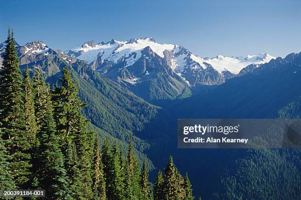 usa, washington, olympic national park, high divide, mount olympus - mount-olympus-olympic-national-park stock pictures, royalty-free photos & images