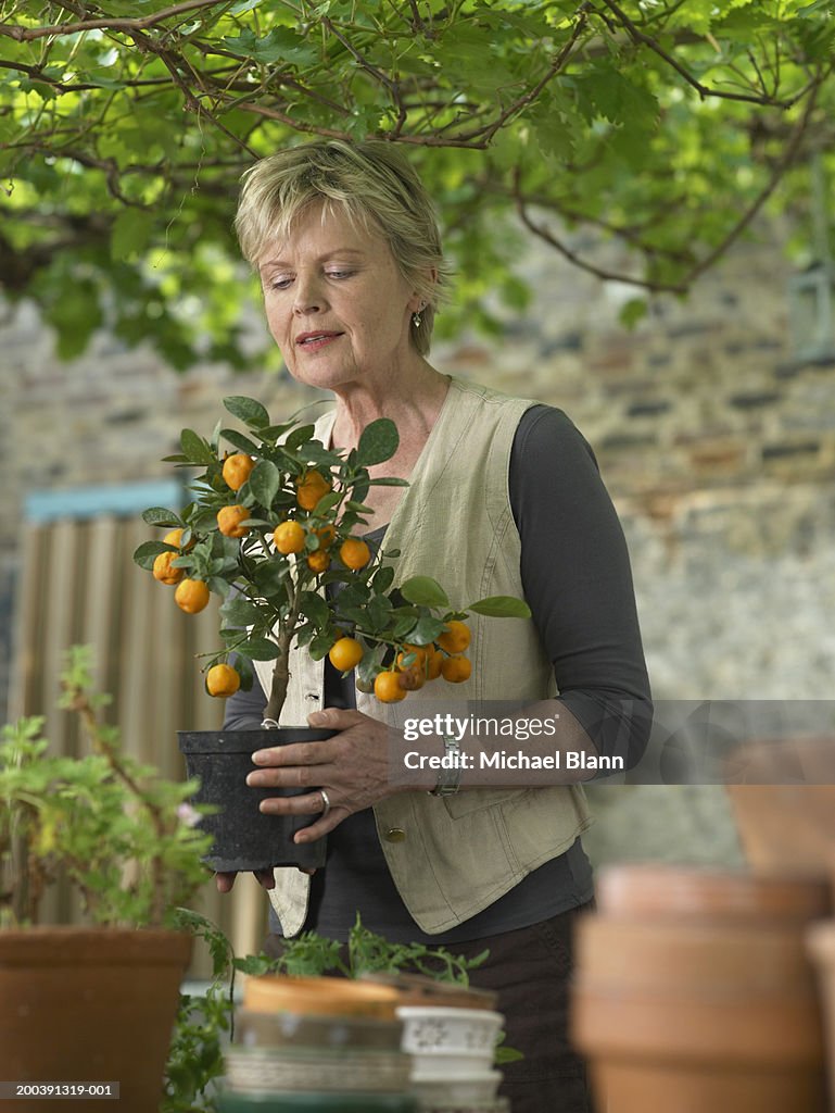 Mature woman in garden holding potted fruit tree