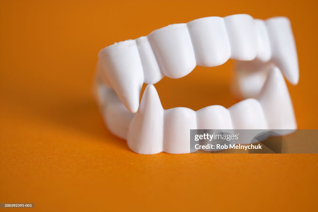 Plastic vampire teeth, close-up