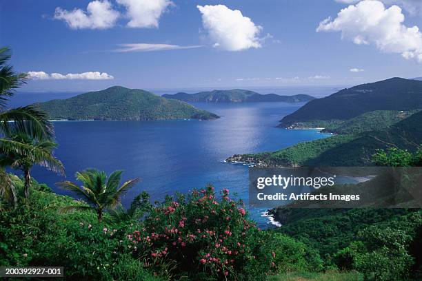 british virgin islands - british virgin islands stock pictures, royalty-free photos & images