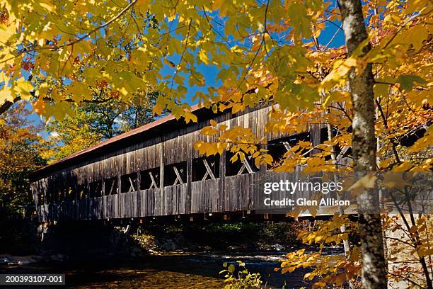 albany covered bridge in autumn, ney york, usa - autumn covered bridge stock pictures, royalty-free photos & images