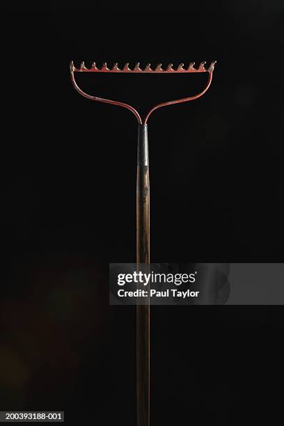 682 Red Rake Stock Photos, High-Res Pictures, and Images - Getty Images