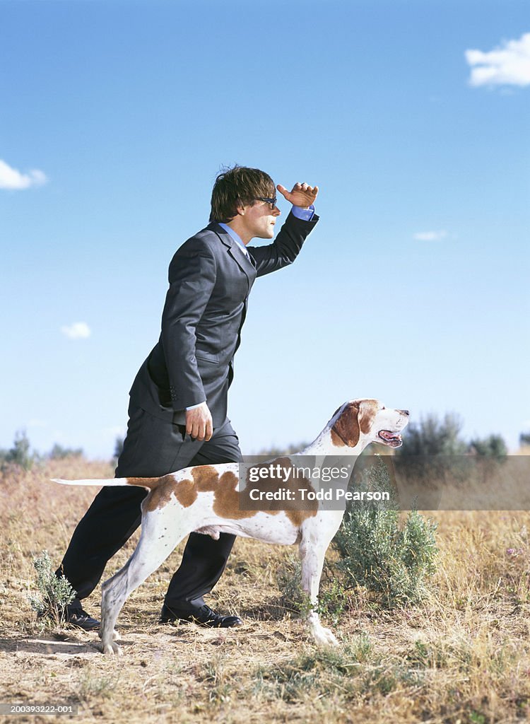 Pastor Inglês Cross Dog Standing Imagem de Stock - Imagem de preto,  carrinho: 49217579