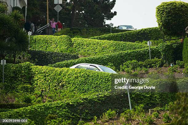 usa, california, san francisco, lombard street - lombard street san francisco stock pictures, royalty-free photos & images