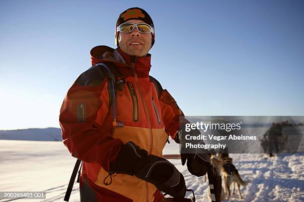 man being pulled by sled dogs, sunset, close-up - dog sledding stock pictures, royalty-free photos & images