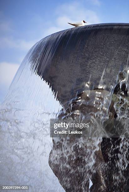 bird on fountain - vigeland sculpture park stock pictures, royalty-free photos & images