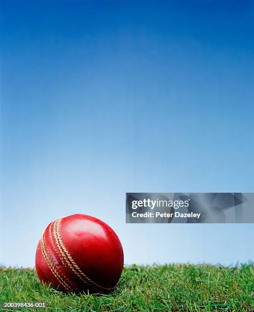 cricket ball on grass - cricket stock pictures, royalty-free photos & images