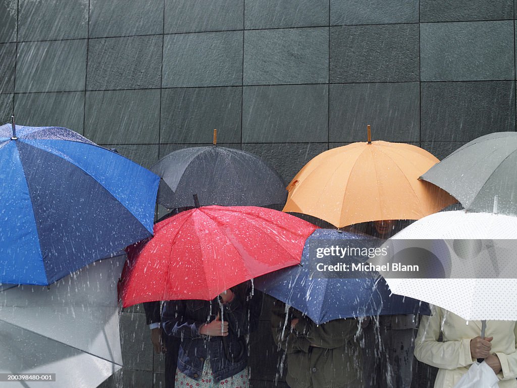 Group of people under umbrellas in rain