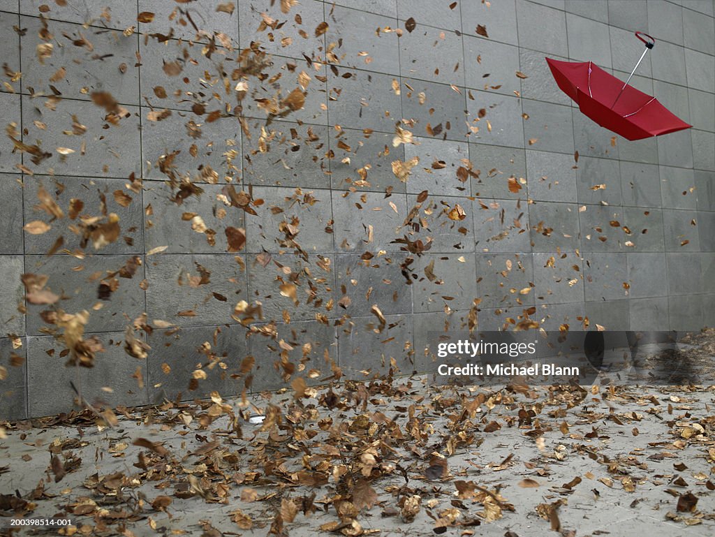 Leaves and open umbrella blowing along pavement