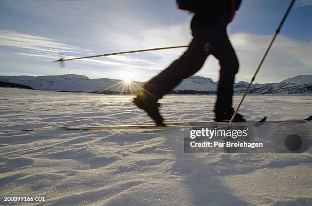 skier skiing across lake at sunset - 北歐滑雪項目 個照片及圖片檔