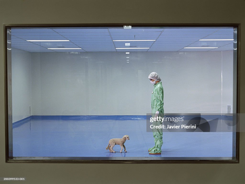 Woman wearing boiler suit and mask standing in room with lamb