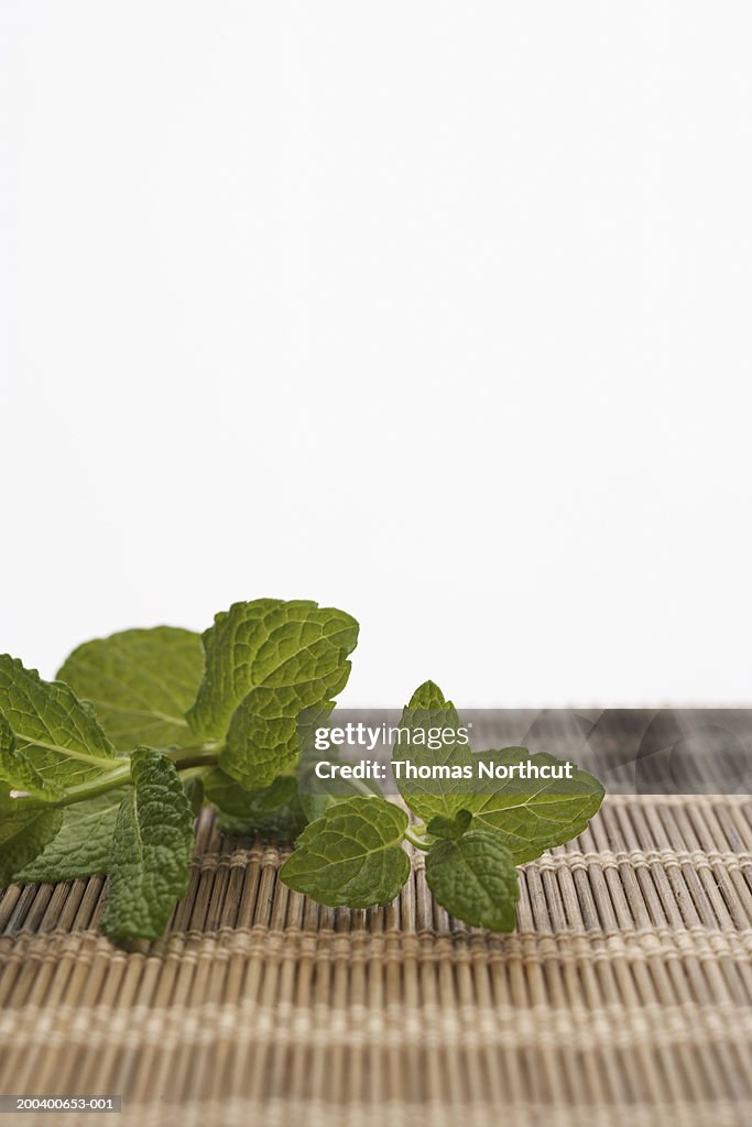 Mint leaves atop mat (focus on mint)