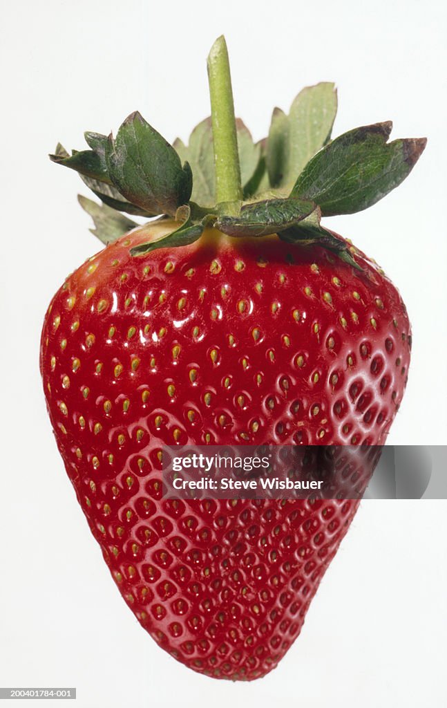 Strawberry, close-up