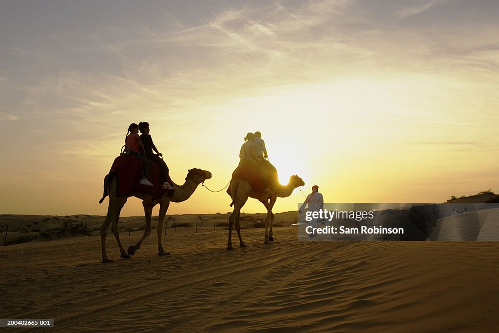 People riding on camels in desert, sunset
