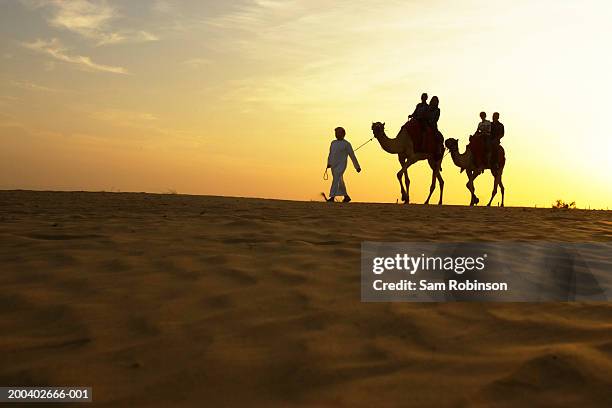 man leading people riding on camels in desert, sunset - arab woman silhouette stock pictures, royalty-free photos & images