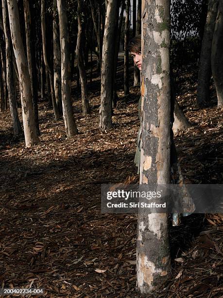 young woman peeking from behind tree trunk - hide behind tree stock pictures, royalty-free photos & images