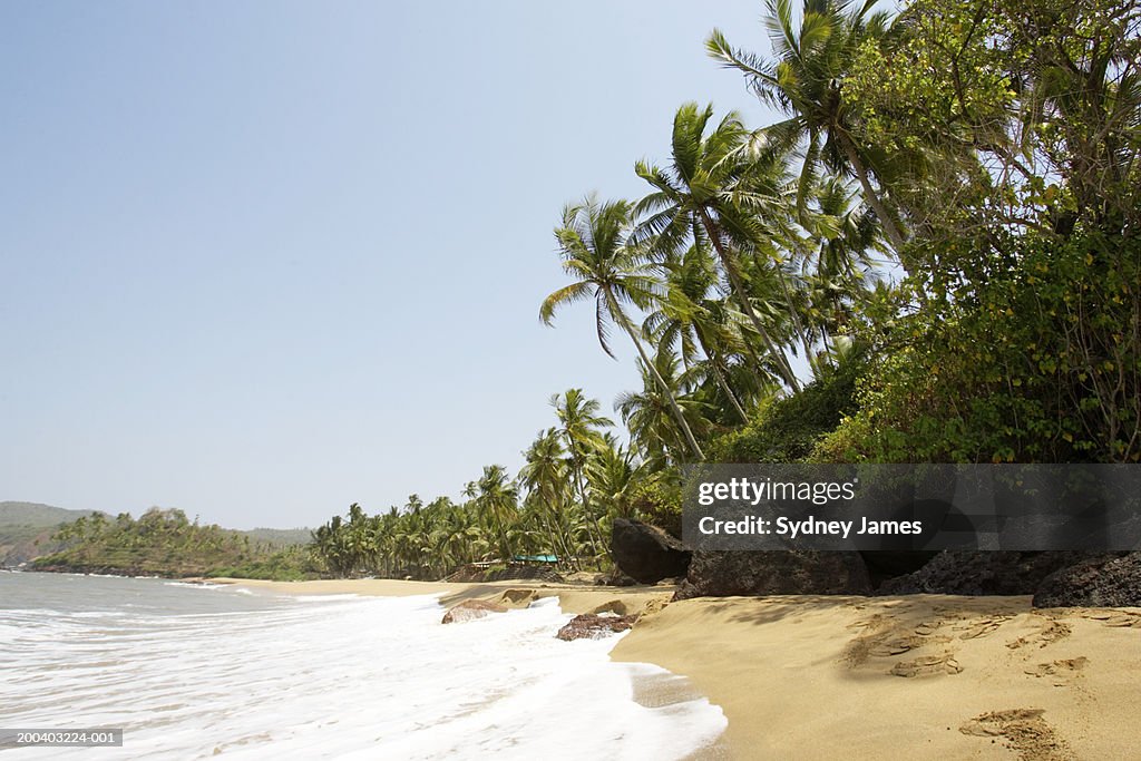 India, Goa, Kola Beach