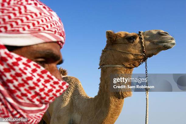united arab emirates, dubai, man by camel - wt1 stock pictures, royalty-free photos & images