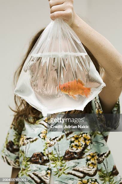 girl (9-11) holding up goldfish in plastic bag, obscuring face - guldfisk bildbanksfoton och bilder