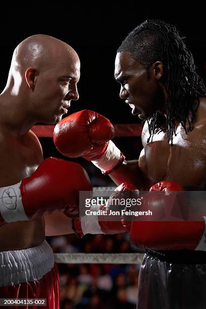 two boxers facing off, profile - championship ring foto e immagini stock