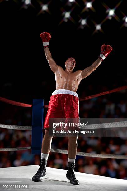 boxer raising arms in victory - boxing winner stock pictures, royalty-free photos & images