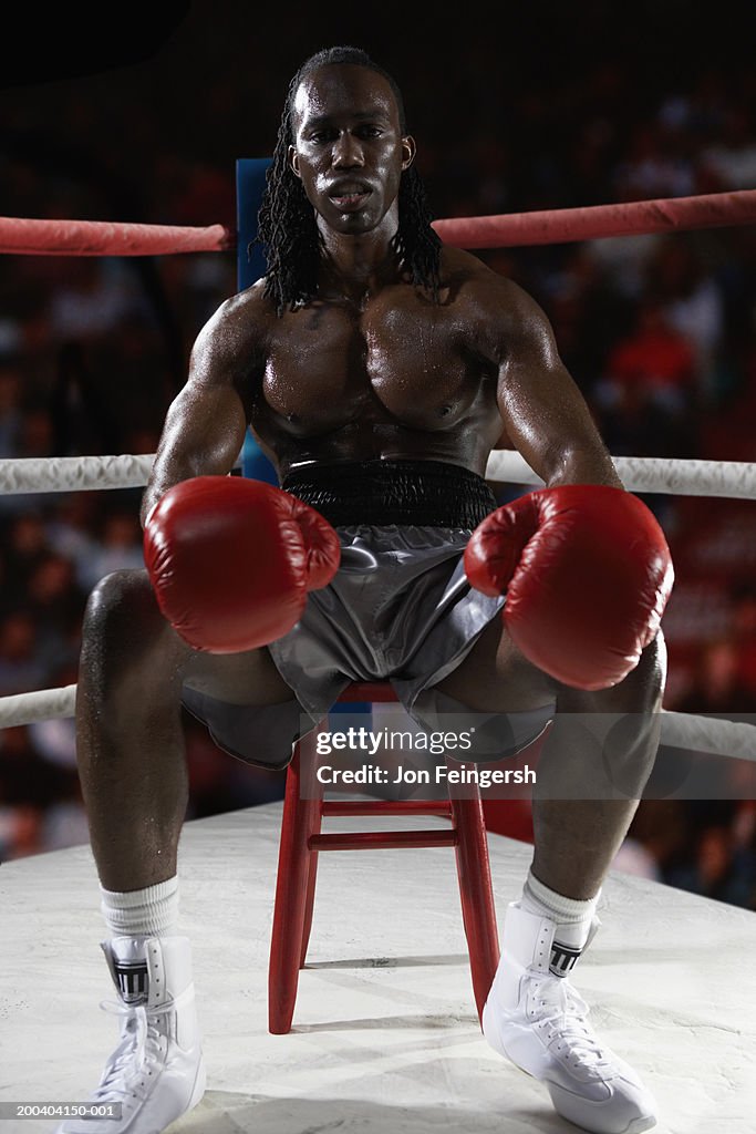 Boxer sitting on stool in corner