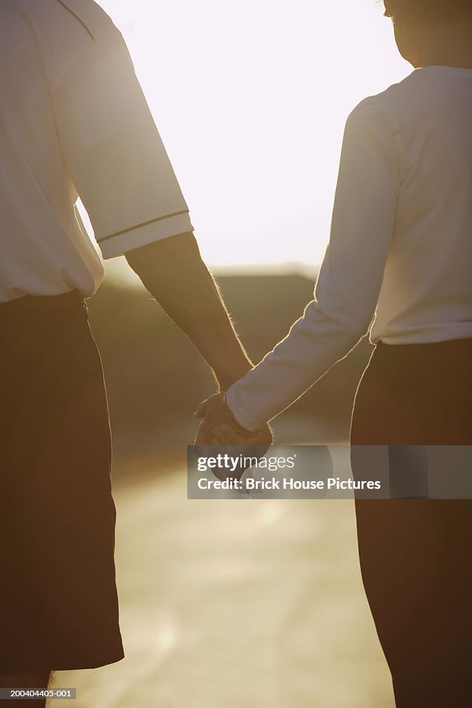Senior couple holding hands, rear view