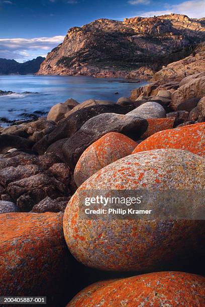australia, tasmania, freycinet national park, rocks along shore, dawn - headland stock pictures, royalty-free photos & images
