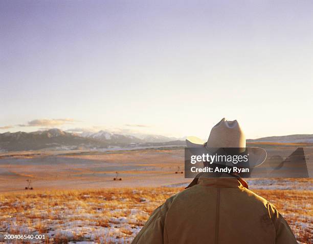 usa, montana, livingston, man looking at scenic, rear view - montana westelijke verenigde staten stockfoto's en -beelden