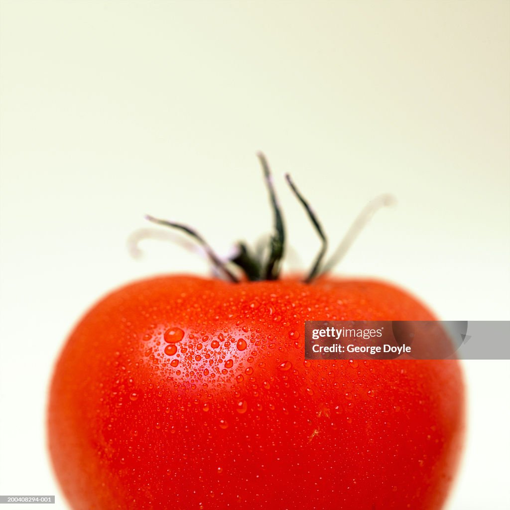 Red tomato covered in water droplets, close-up