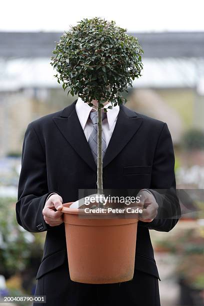 businessman holding small tree in front of face, close-up - topiary stock-fotos und bilder