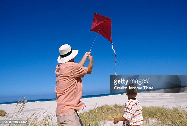 grandfather and grandson (3-5) flying kite, rear view - people flying kites stockfoto's en -beelden