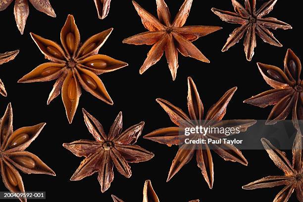 star anise - star anise stock pictures, royalty-free photos & images
