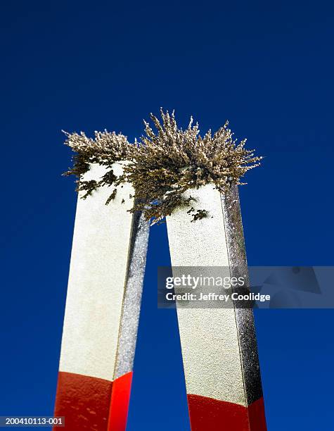 iron filings attached to magnet, close-up - iron filings stock-fotos und bilder