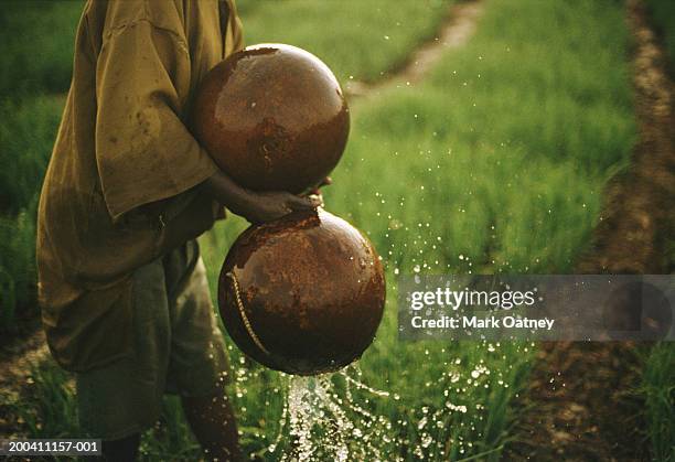 young farmer using gourds to water crops, mid section, morning - dogon bezirk stock-fotos und bilder