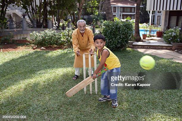 grandfather playing cricket with grandson (6-8) batting ball - family cricket stockfoto's en -beelden
